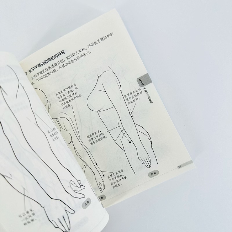 Manga-Zeichenbuch für Anfänger – Chinese Calligraphy Practice Book Bewertung und Preis