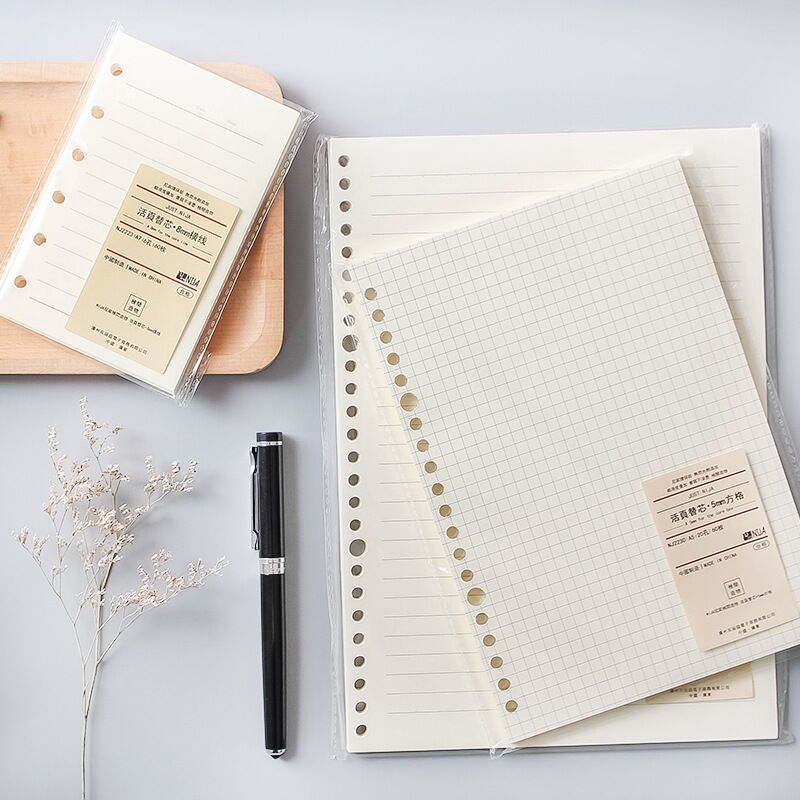 A5 B5 Linienraster, 20 Löcher, – A5 Spiral Dotted Grid Notebook Bewertung und Preis